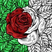 Color by Number: Coloring Book app icon - Board category