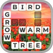 Word Wiz - Connect Words Game app icon - Word category
