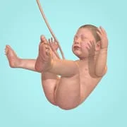 Idle 9 Months app icon - Simulation category
