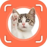 Cat Identifier - Cat Scanner app icon - Education category
