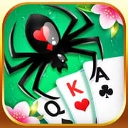 Spider Solitaire Fun app icon - Card category