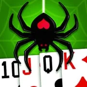 Spider Solitaire app icon - Card category