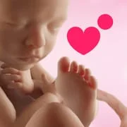 Preggers: Pregnancy & Baby App app icon - Parenting category