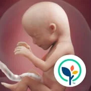 Pregnancy App & Baby Tracker app icon - Parenting category