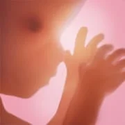Pregnancy + | Tracker App app icon - Parenting category