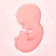 My Pregnancy - Baby Tracker app icon - Parenting category