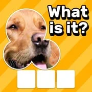 Zoom Quiz: Close Up Pics Game app icon - Trivia category
