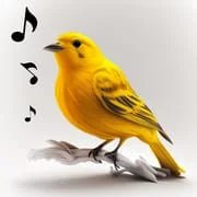 Bird Calls, Sounds & Ringtones app icon - Music & Audio category