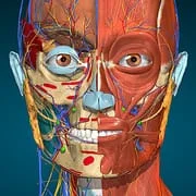 Anatomy Learning - 3D Anatomy app icon - Medical category