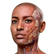 Complete Anatomy 2024 app icon - Medical category