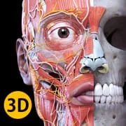 Anatomy 3D Atlas app icon - Medical category