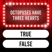 Trivia Quiz: Super Trivia Game app icon - Trivia category