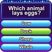 Trivia Crush app icon - Trivia category