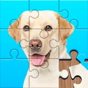 Jigsaw Puzzles Explorer app icon - Puzzle category