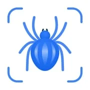 Picture Insect: Bug Identifier app icon - Education category