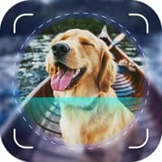 Dog Scanner: Breed Identifier app icon - Education category