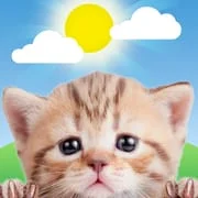 Weather Kitty - App & Widget app icon - Weather category