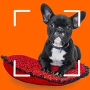 Dog breeds - Smart Identifier app icon - Books & Reference category
