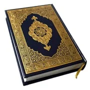 HOLY QURAN (القرآن الكريم) app icon - Books & Reference category