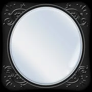 Mirror - Zoom & Exposure - app icon - Beauty category