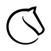lichess • Free Online Chess app icon - Board category