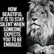 Motivational Quotes - Daily app icon - Health & Fitness category