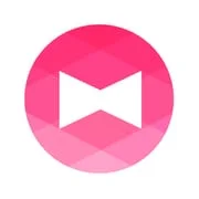 Wallpaper Theme +HOME Launcher app icon - Personalization category