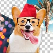 Dog Photo Editor app icon - Photography category