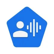 Voice Access app icon - Tools category