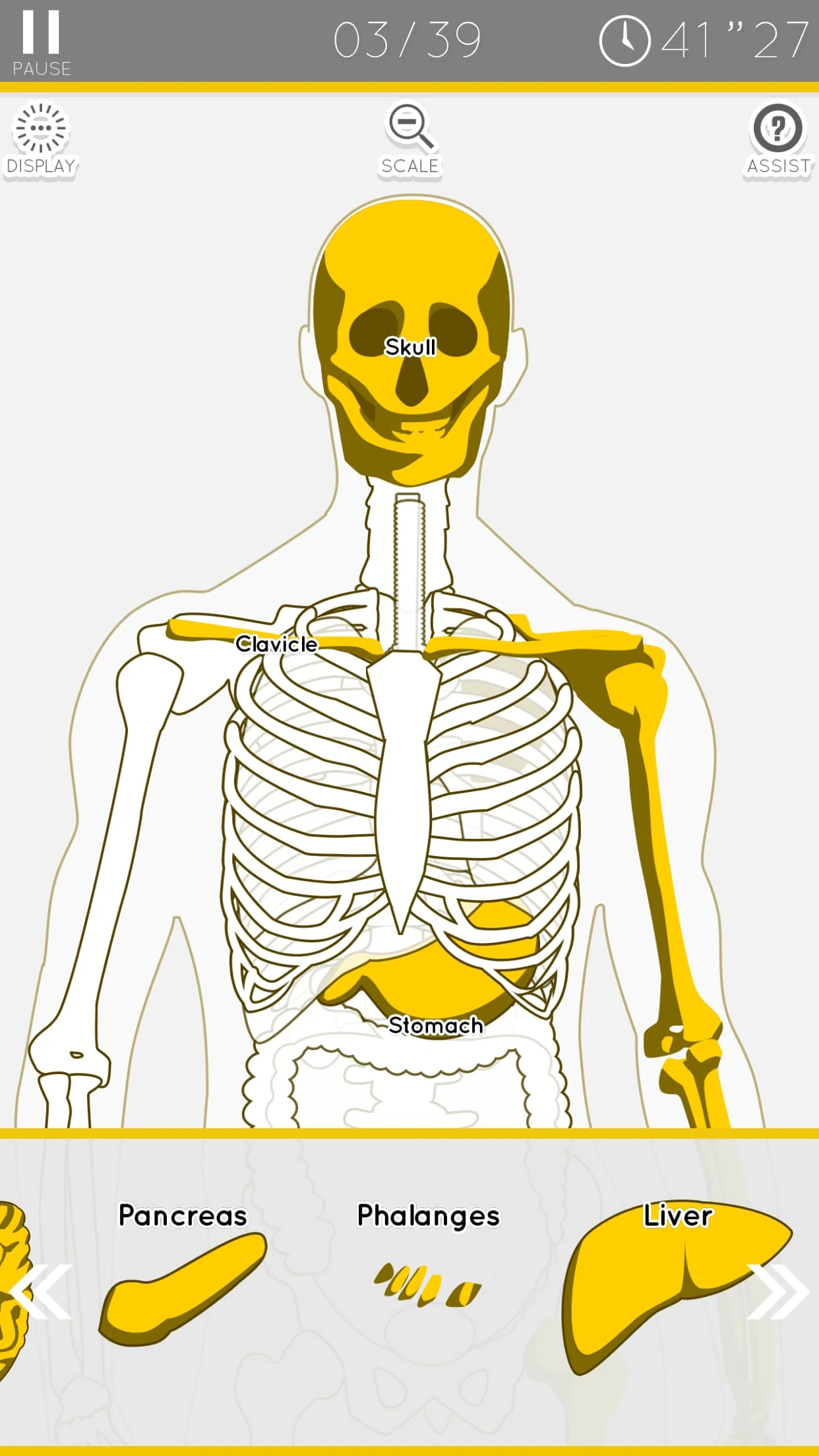 E. Learning Anatomy puzzle Screenshot 1