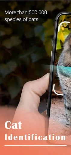 Cat Identifier - Cat Scanner Screenshot 1