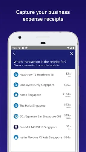 Visa Commercial Pay Screenshot 4