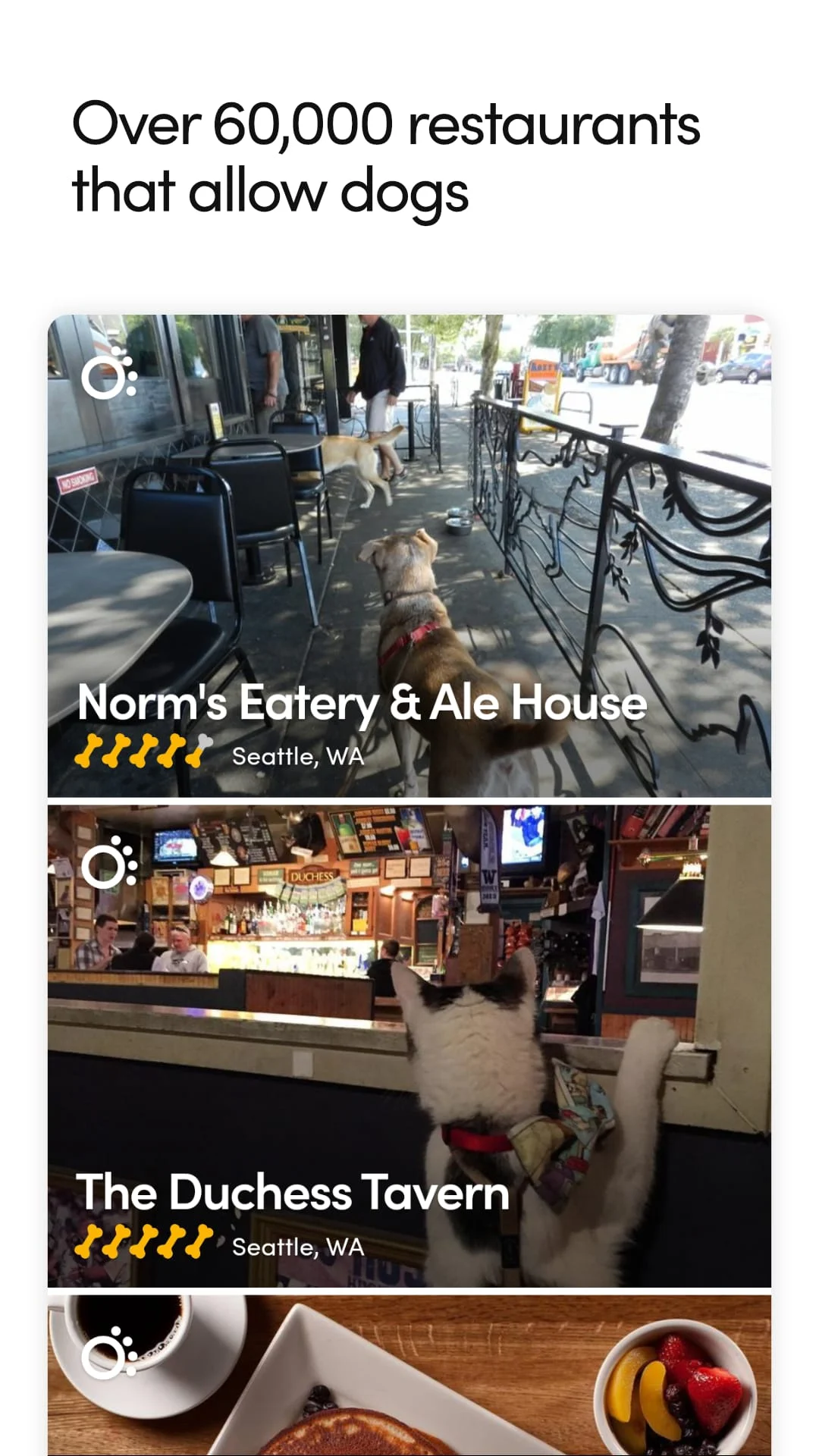 BringFido Pet Friendly Hotels Screenshot 3