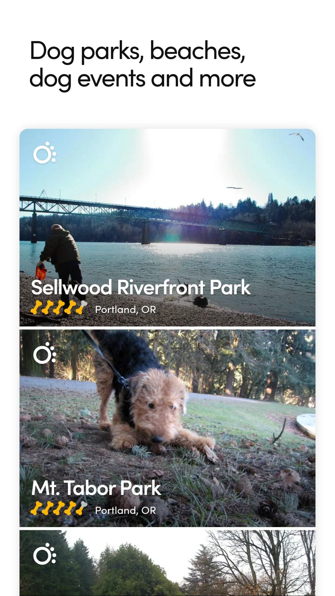 BringFido Pet Friendly Hotels Screenshot 4