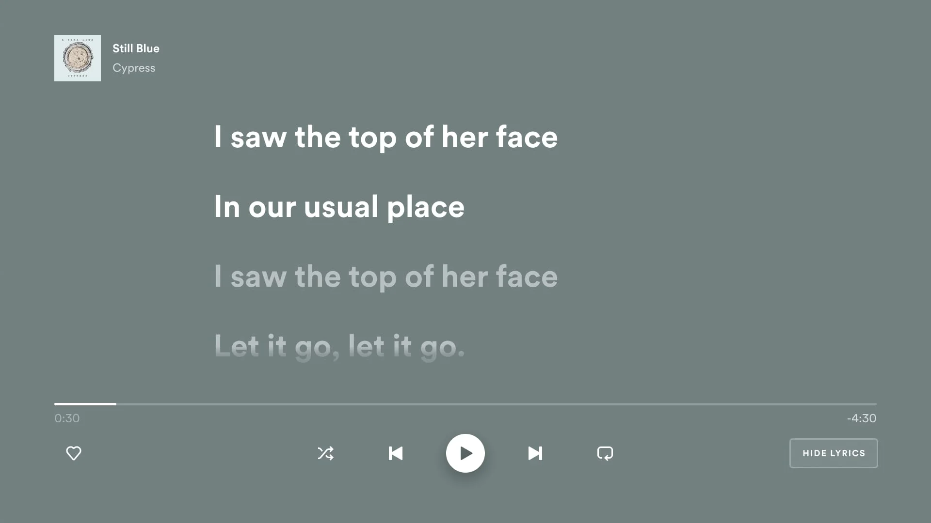 Spotify - Music and Podcasts Screenshot 3