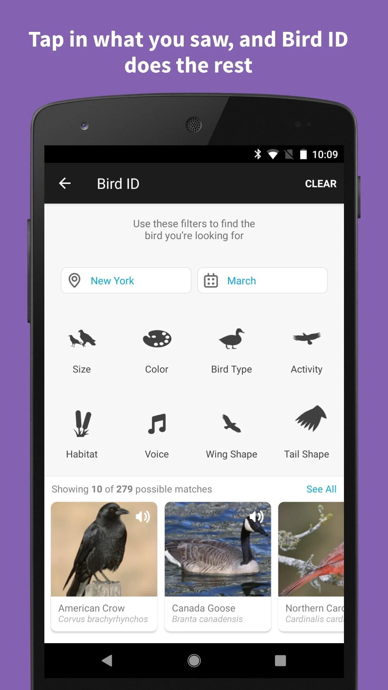 Audubon Bird Guide Screenshot 3
