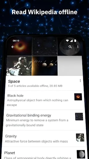 Wikipedia Screenshot 2