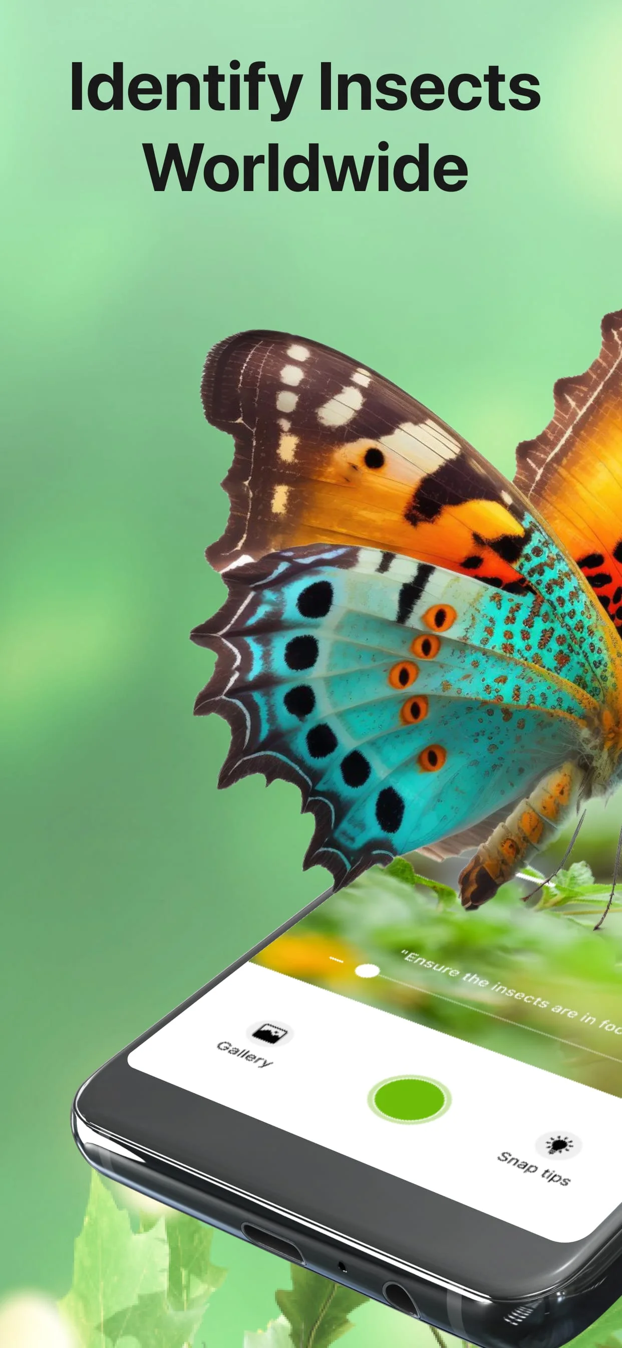 Bug Identifier Bug Finder Screenshot 1