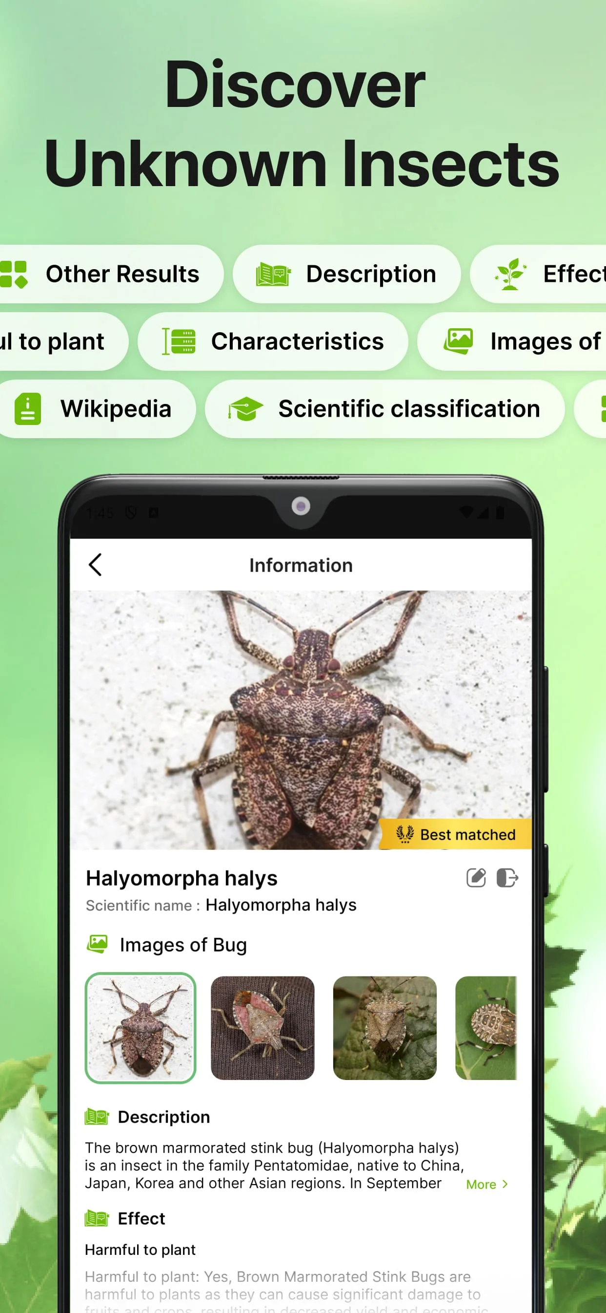 Bug Identifier Bug Finder Screenshot 3