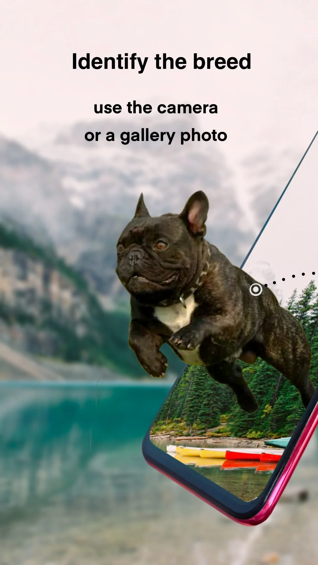 Dog breeds - Smart Identifier Screenshot 1