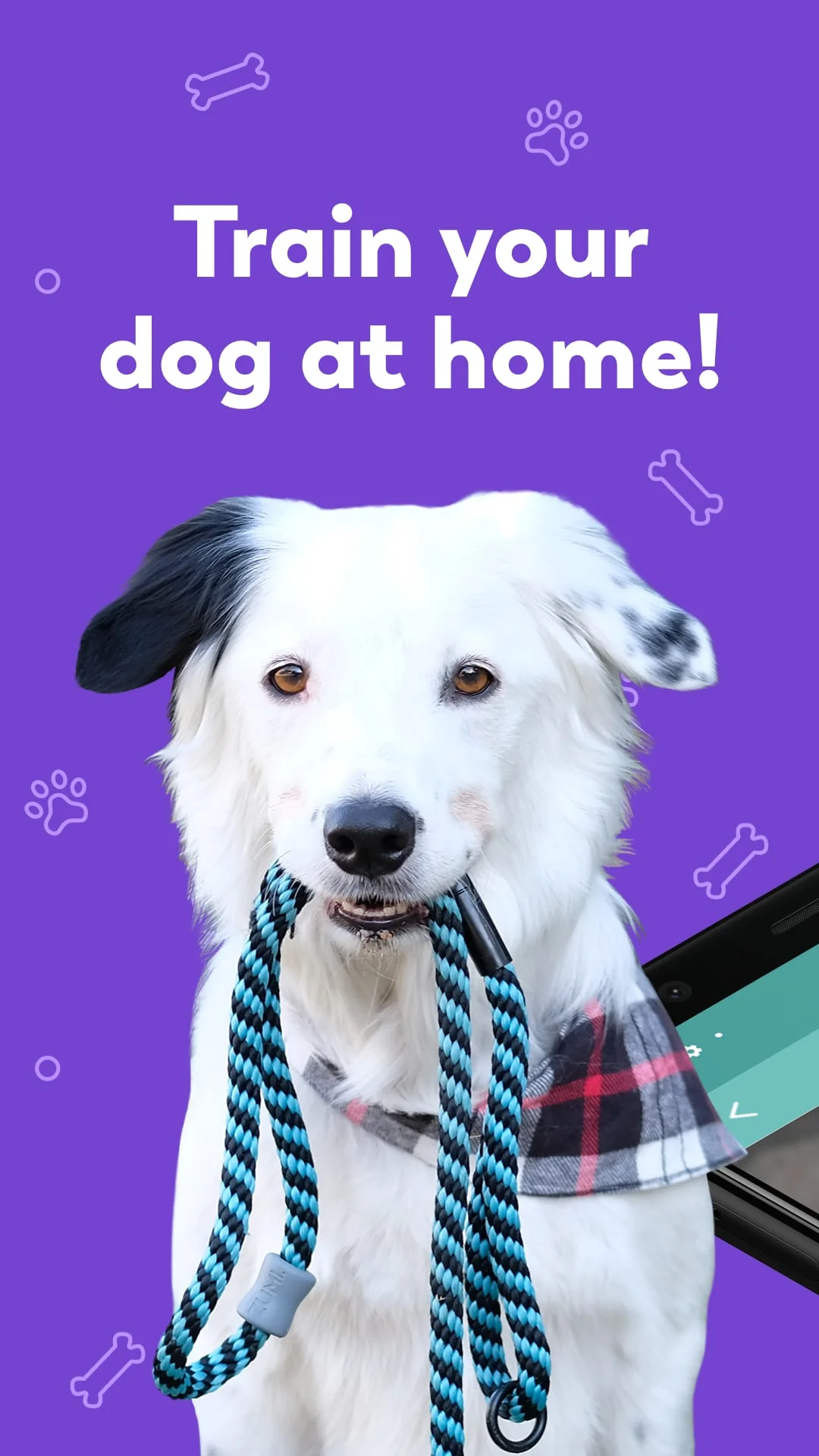 Puppr - Dog Training & Tricks Screenshot 1
