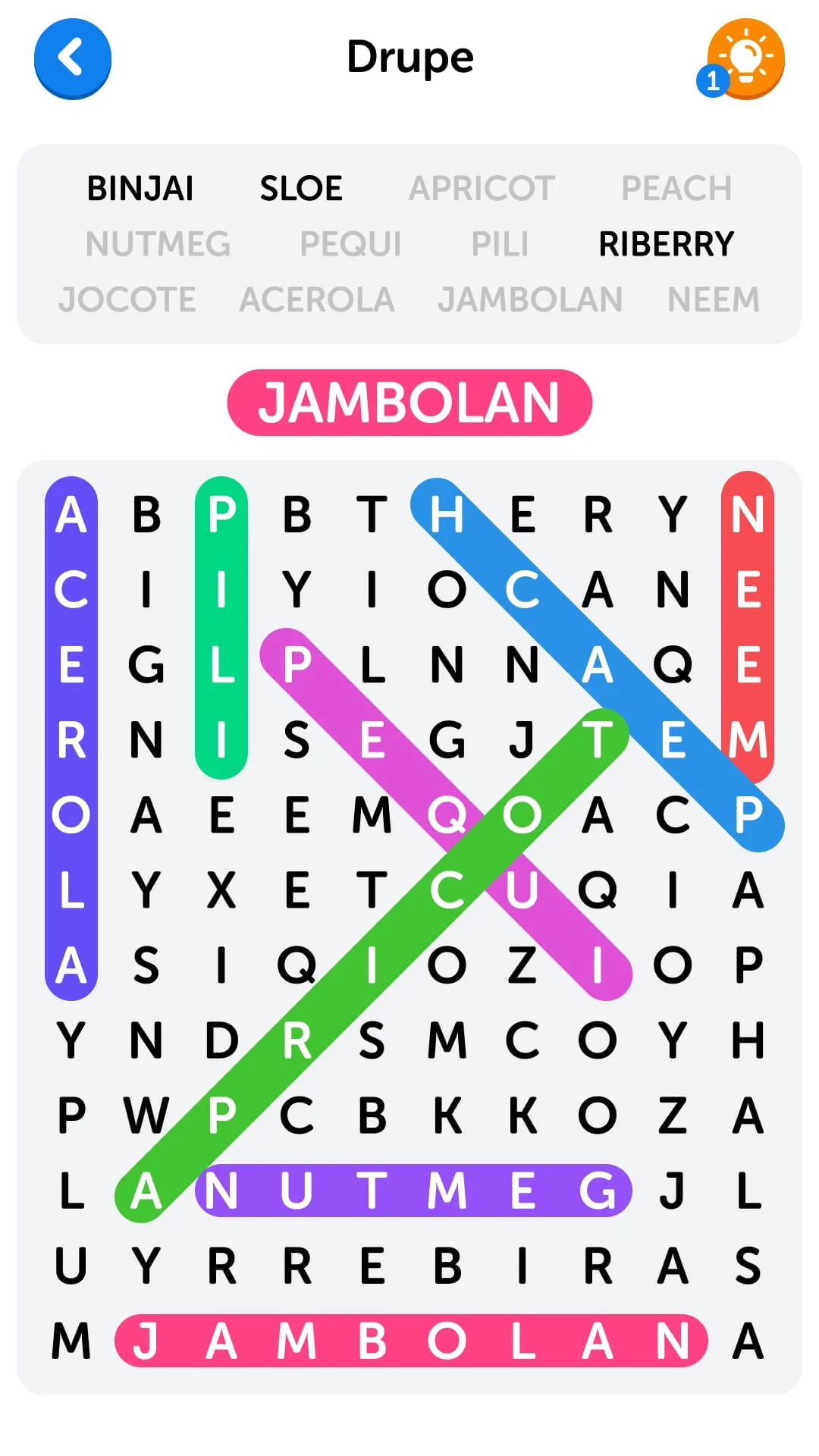 Word Search Screenshot 2