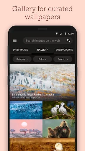 Bing Wallpapers Screenshot 2