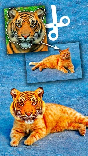 Cut Paste Photo Seamless Edit Screenshot 3