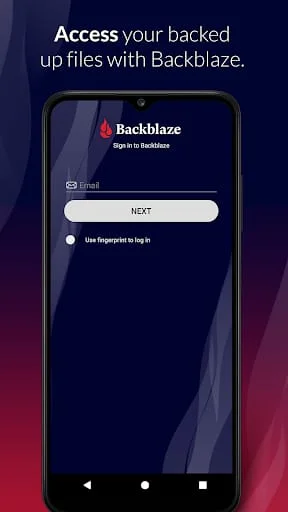 Backblaze Screenshot 1