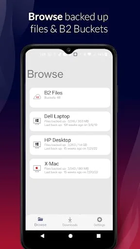 Backblaze Screenshot 2