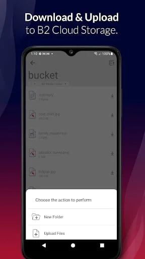 Backblaze Screenshot 4