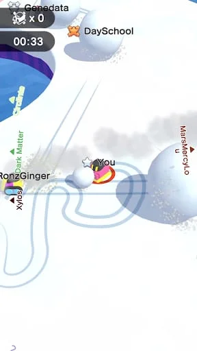 Snowball.io Screenshot 4